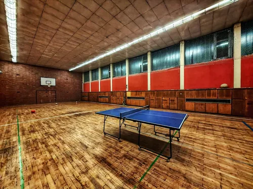 Private Sporthalle mit Tischtennisplatte, Schwungboden und Sprossenwand